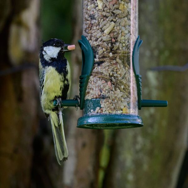 Winter mix for birds