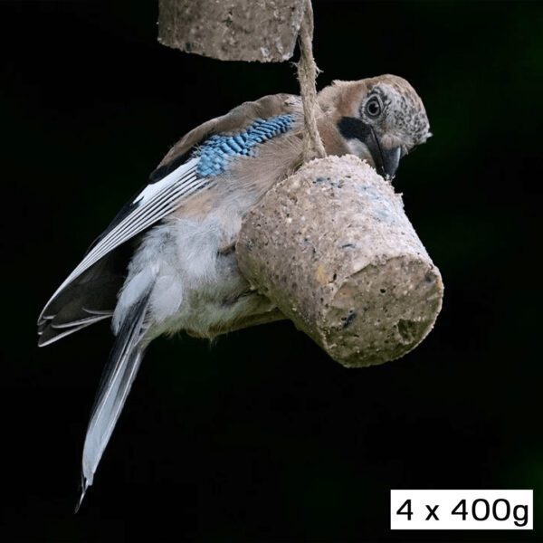 Suet Cone For Birds