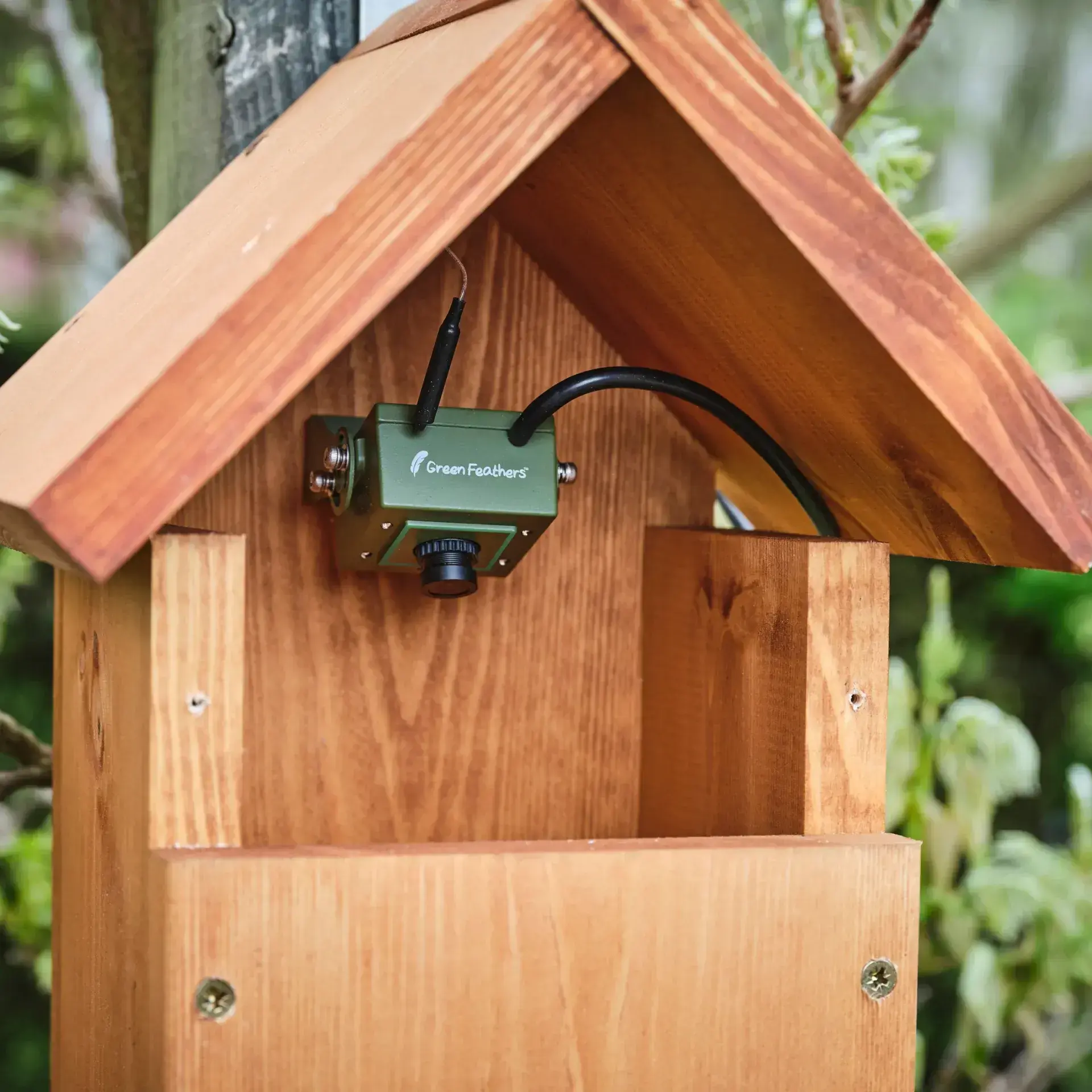 Wooden Bird box