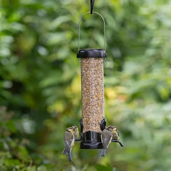 Eco Premium Bird Seed Feeder