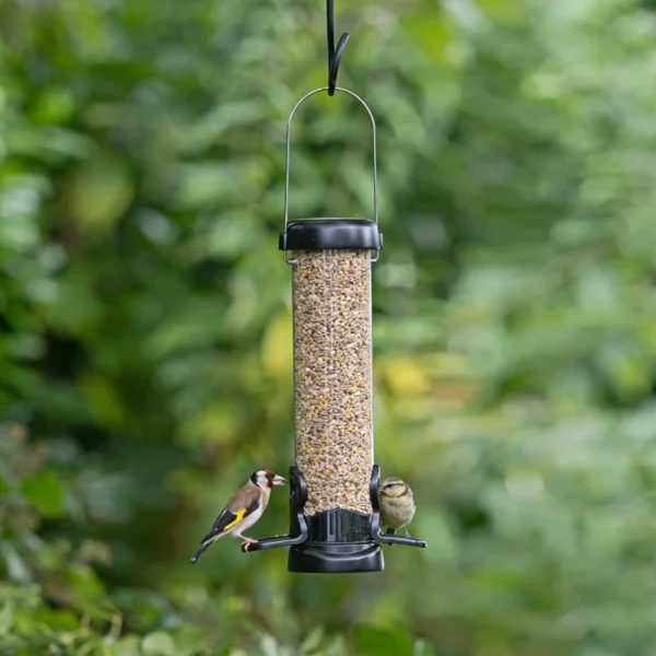 Eco Premium Bird Seed Feeder - Image 4