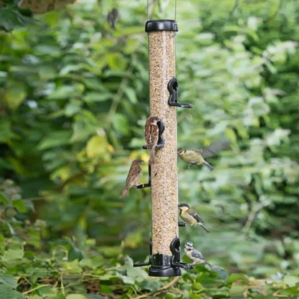Eco Premium Bird Seed Feeder - Image 3