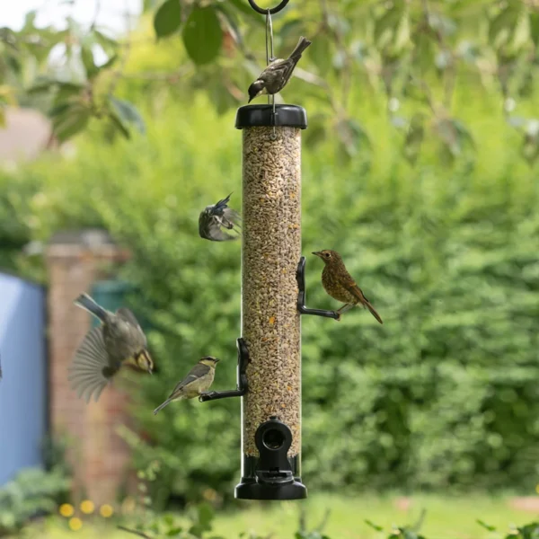 Eco Premium Bird Seed Feeder - Image 2