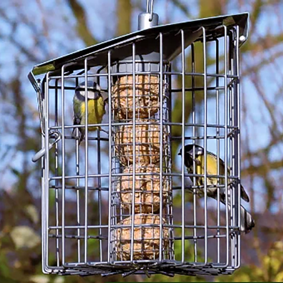 Suet feeder