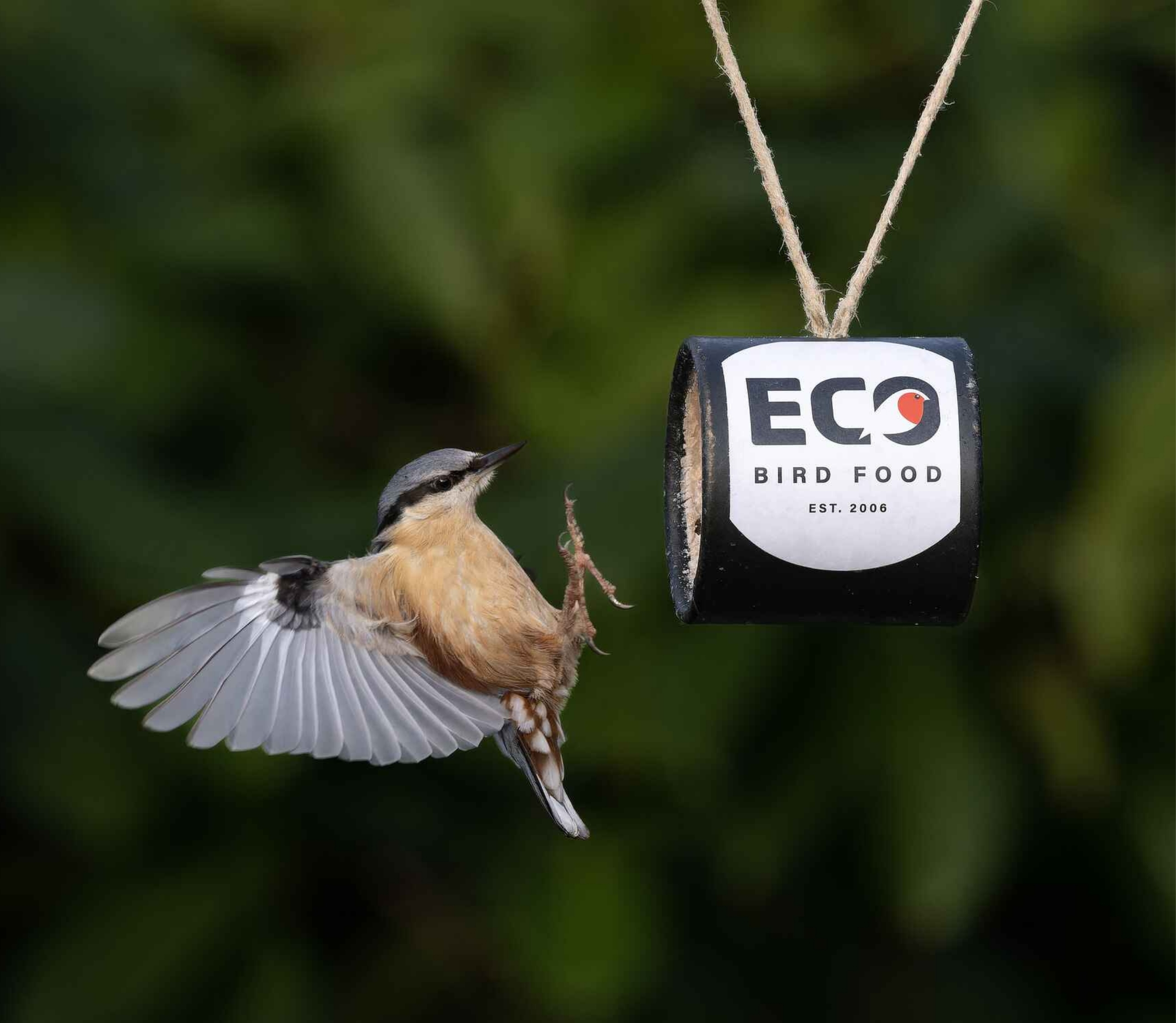 The Benefits of Suet Cakes when Bird Feeding: Analysis of Product Options