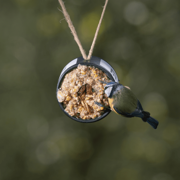 suet tubes