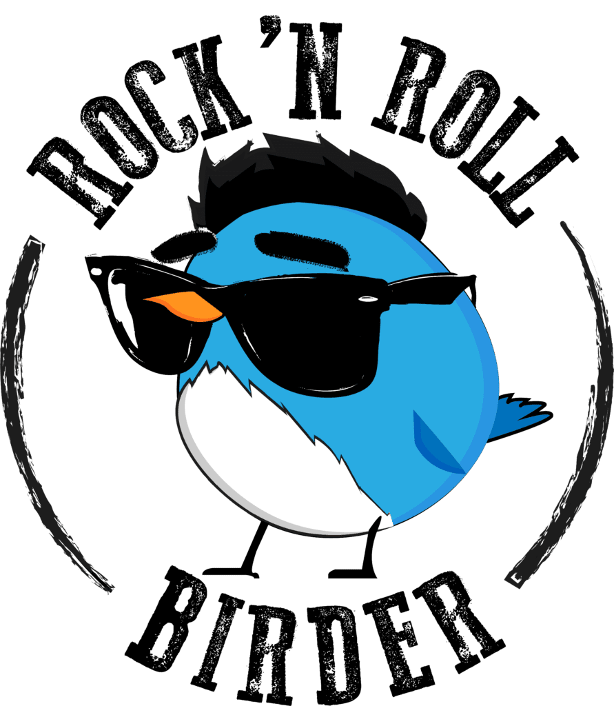 Best Bird Food - Rock ‘N Roll Premium Bird Food