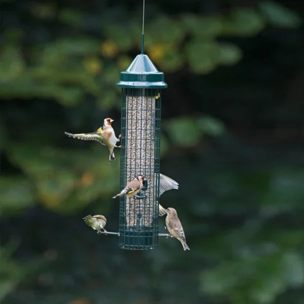 Squirrel Buster Classic