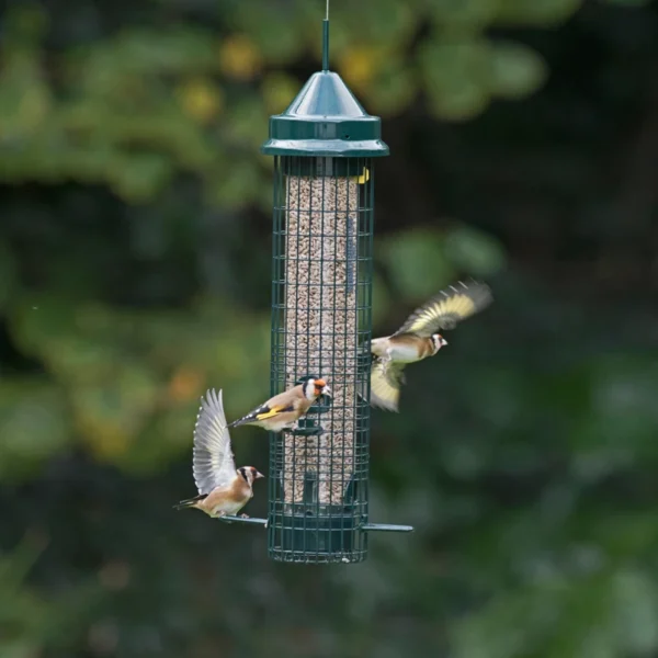 Squirrel Buster Classic - Image 5