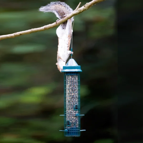 Squirrel Buster Classic - Image 4
