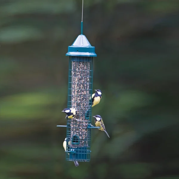 Squirrel Buster Classic - Image 3