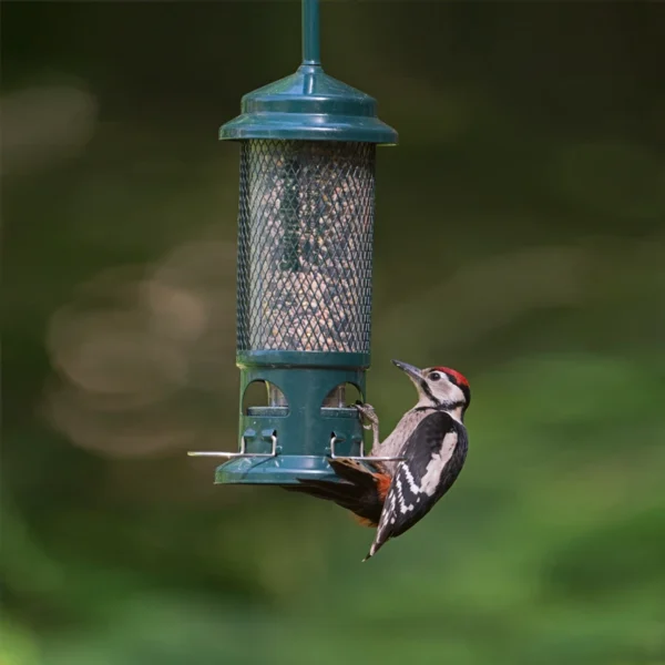 Squirrel Buster