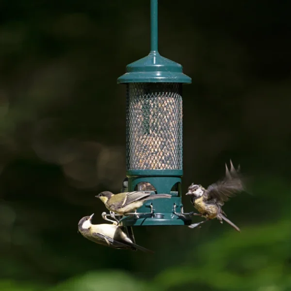 Squirrel Buster - Image 2