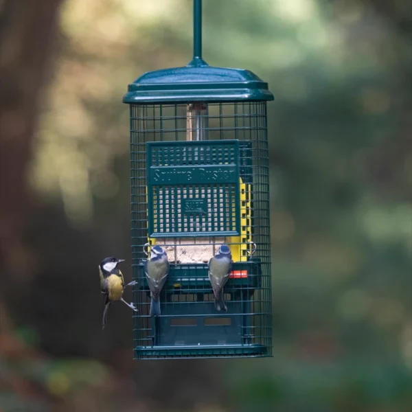 Squirrel Buster Suet