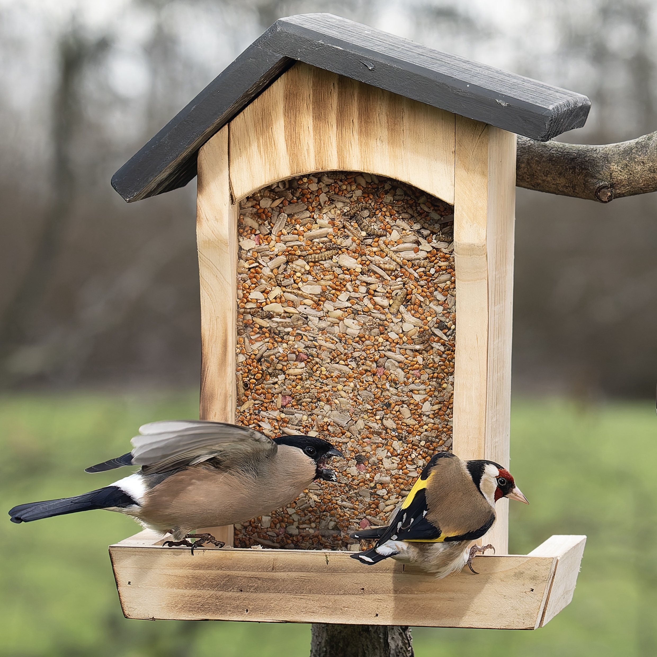 Spring Mix - Image 4